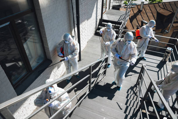 Best Asbestos and Lead Testing During Mold Inspection  in Port Charlotte, FL