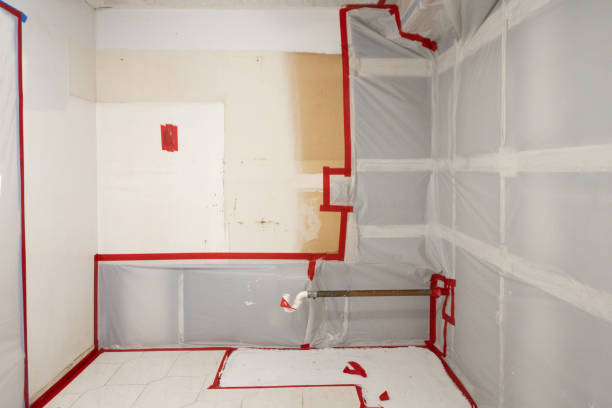 Best Mold Damage Restoration  in Port Charlotte, FL