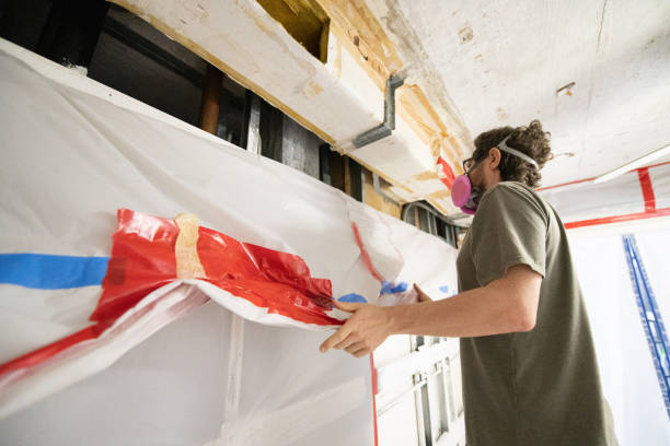 Best Post-Construction Mold Inspection  in Port Charlotte, FL
