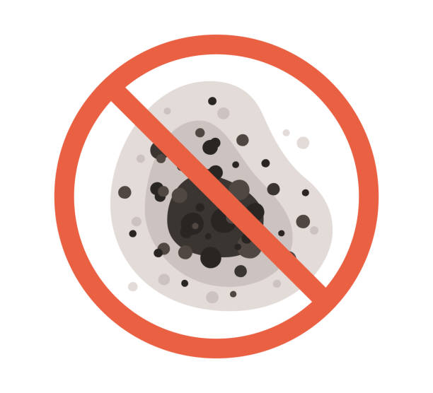 Best Mold-Related Health Consultation  in Port Charlotte, FL