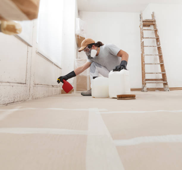 Best Biohazard Mold Removal  in Port Charlotte, FL