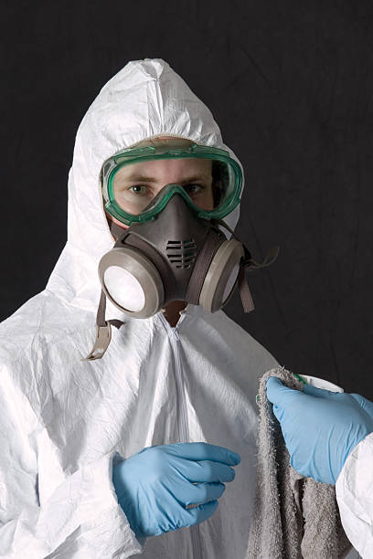 Port Charlotte, FL Mold Removal Company
